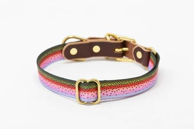 The Whiskey Adjustable  Dog Collar - 