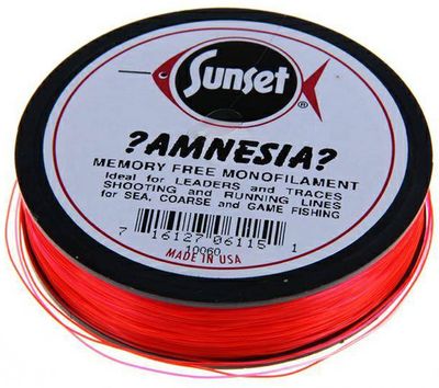 Amnesia-Shooting line 