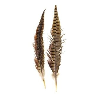 Ringneck Pheasant Tail - Natural
