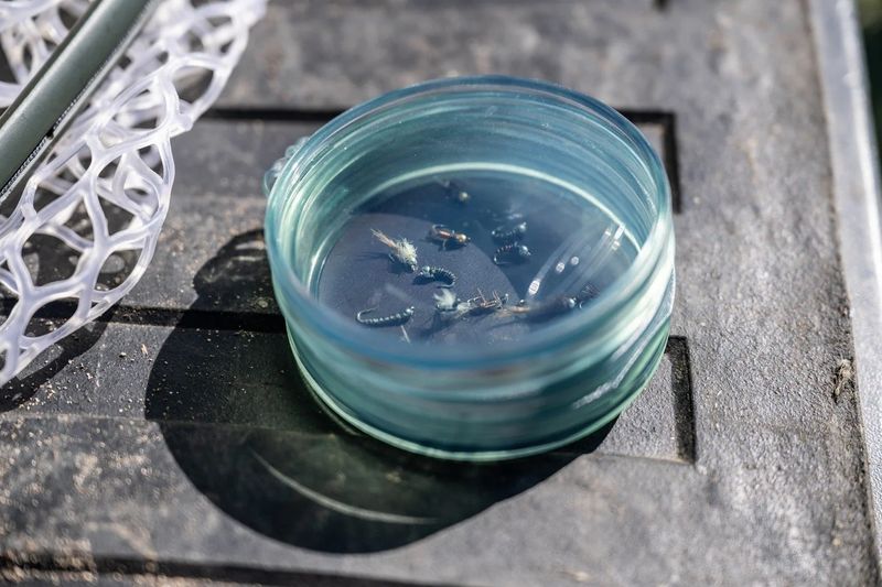 Fishpond Shallow MagPad Fly Puck