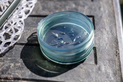Fishpond Shallow MagPad Fly Puck
