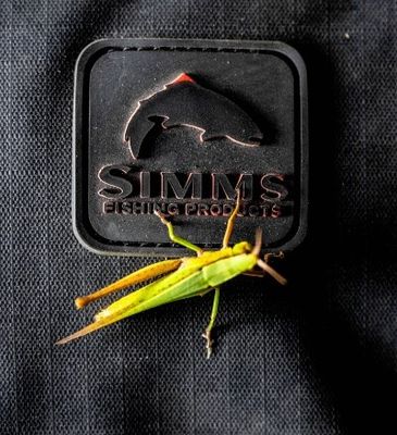 Simms Tailwind 100L Roller - Black
