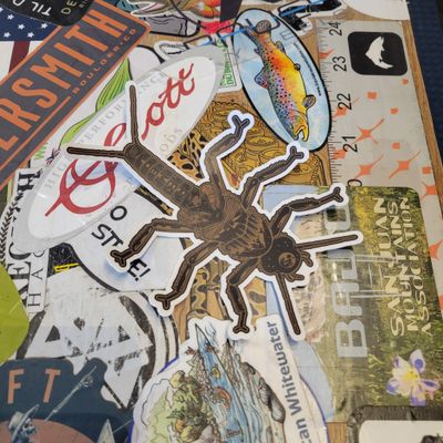 Nate Karnes Golden Stonefly Decal