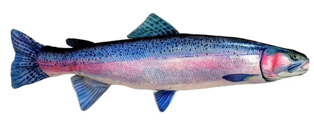 Fish Targets Steelhead