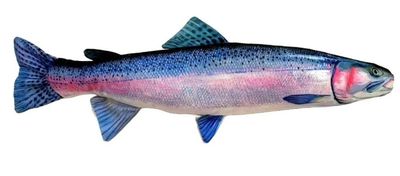 Fish Targets Steelhead