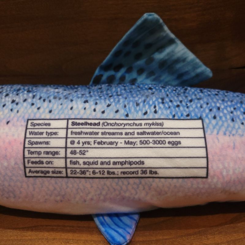 Fish Targets Steelhead