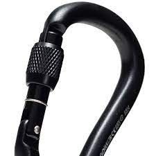 Black Diamond Pearlock Screwgate Carabiner