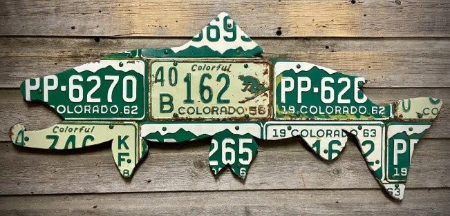 Cody Richardson 42" Colorado Skier Brown Trout