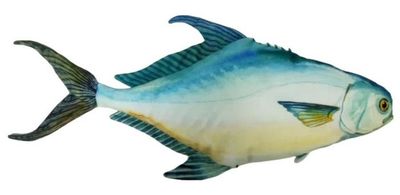 Fish Targets Permit