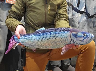 Fish Targets Tarpon