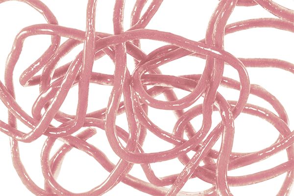 Trina's Squirm Material, Color: - Pink, Size: Small