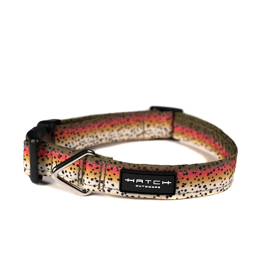 Hatch Dog Leash and Collar, Color: - Rainbow Trout, Size: - One Size Fits Most