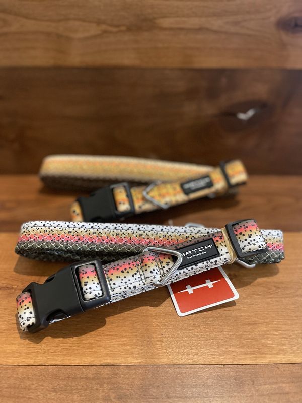 Hatch Dog Leash and Collar