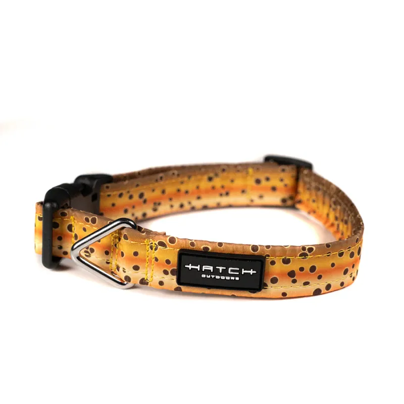 Hatch Dog Leash and Collar