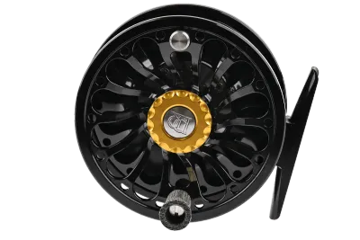 Ross Reels San Miguel