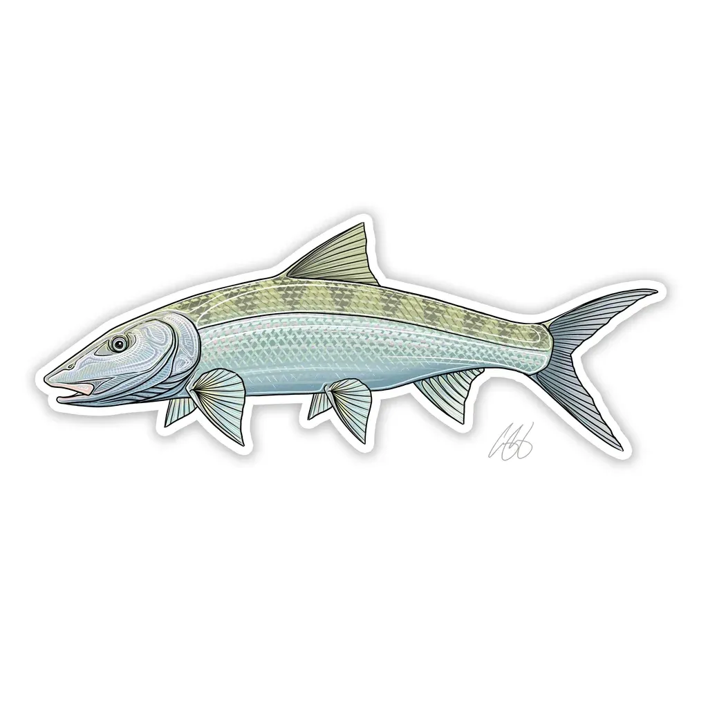 Casey Underwood Fish Decal Bonefish