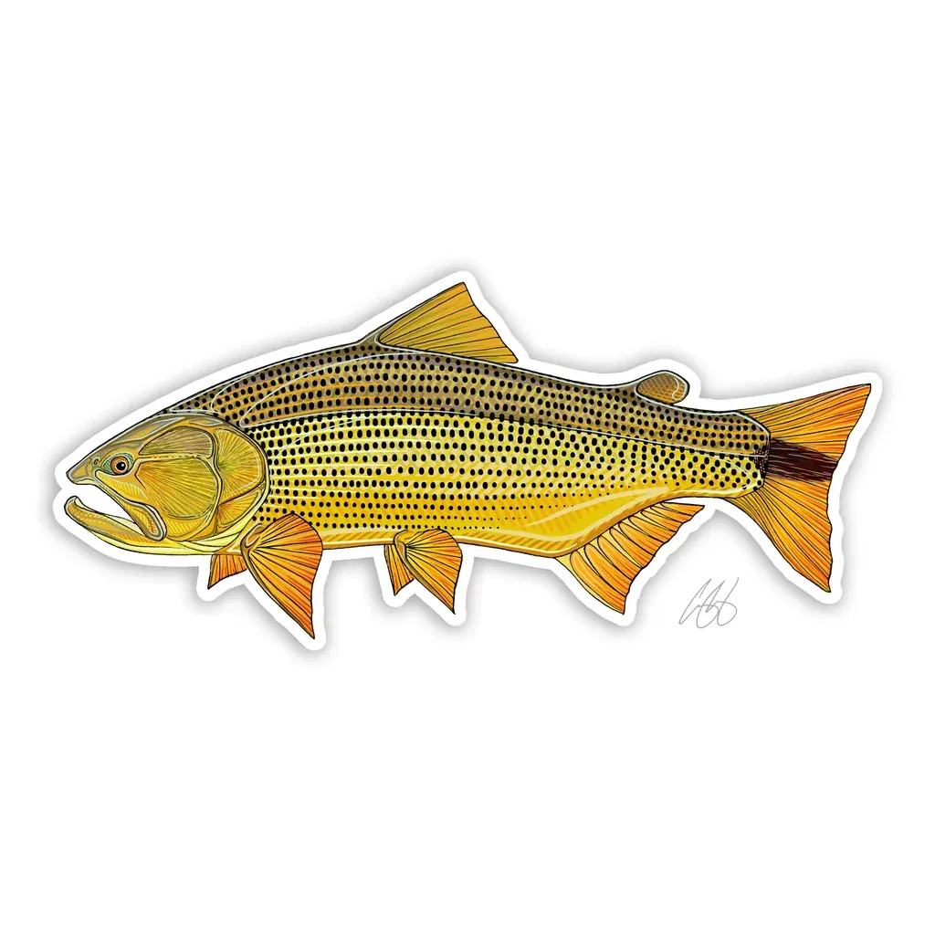 Casey Underwood Fish Decal Golden Dorado