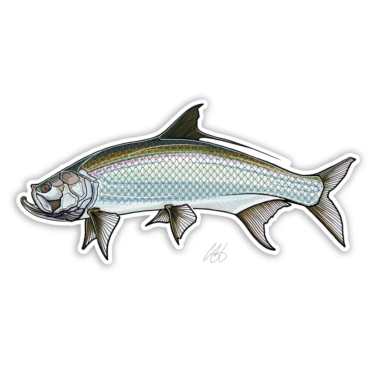 Casey Underwood Fish Decal Tarpon