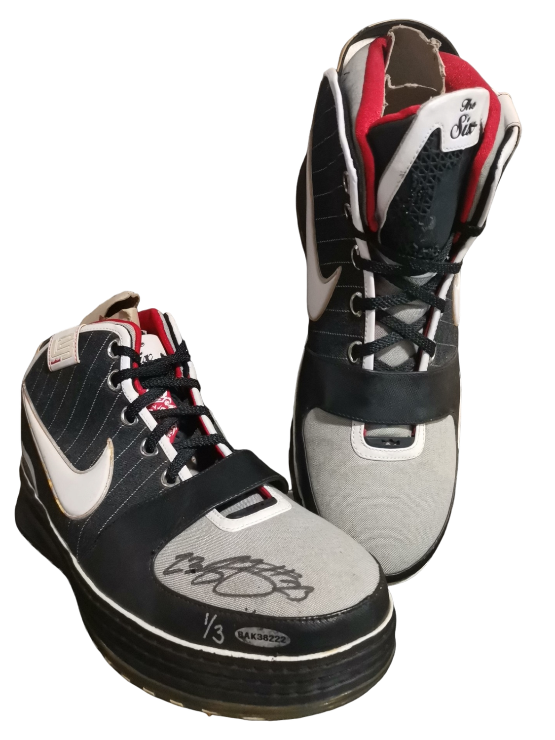 Lebron James Signed Shoe 1/3