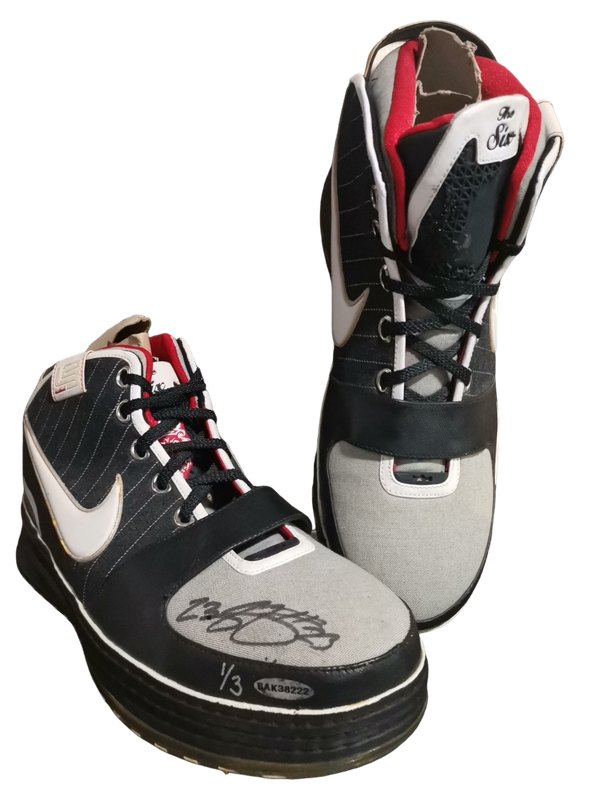 Lebron James Signed Shoe 1/3
