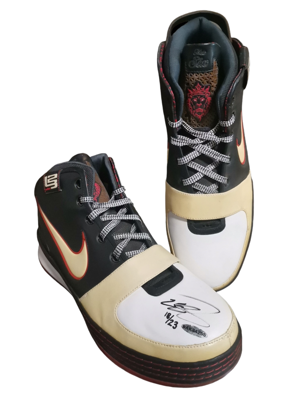 Lebron James Signed B&amp;W Shoe 18/23