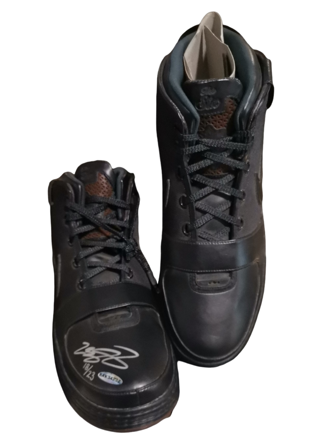 Lebron James Signed Shoe Black 18/23