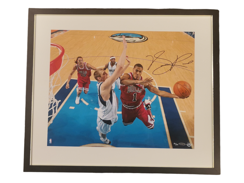 Signed Derrick Rose vs Mavs Layup Poster 90/101
