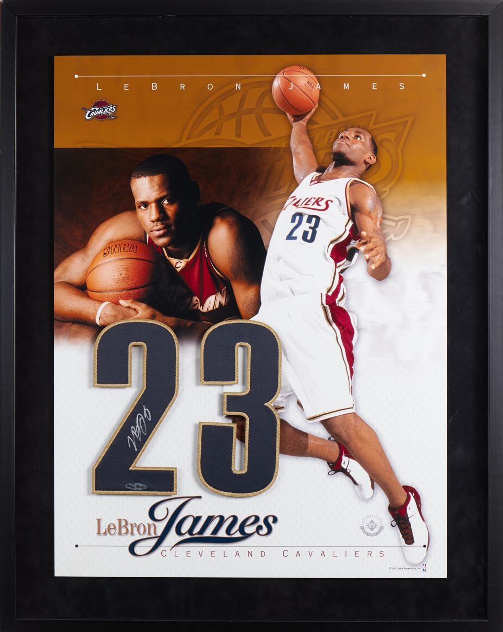 Signed Jersey Number Lebron James