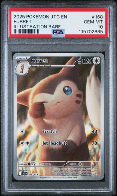 2025 Furret Illustration Rare PSA 10
