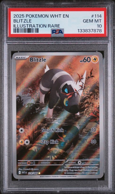 2025 Pokemon White En Blitzle Illustration Rare #114 PSA 10