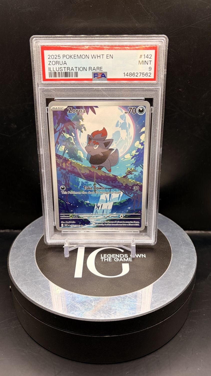 2025 Pokemon Wht En Zorua Illustration Rare #142 PSA 9