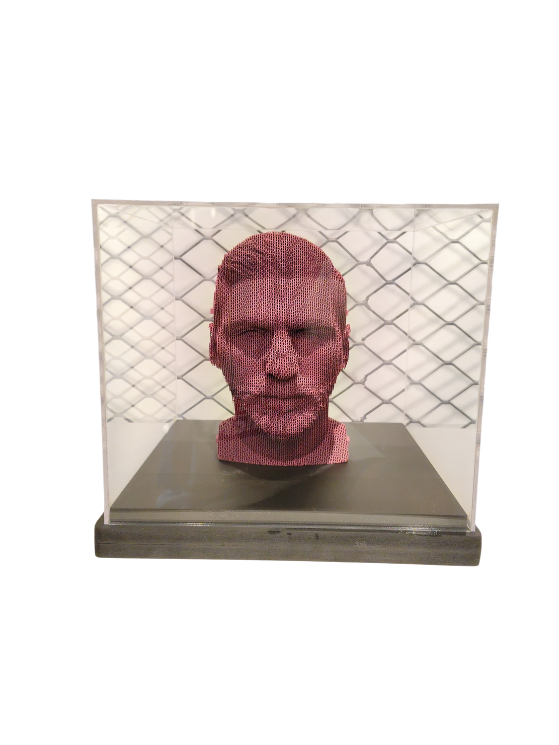 CARTONIC 3D Painted Puzzle Lionel Messi with Acrylic Box