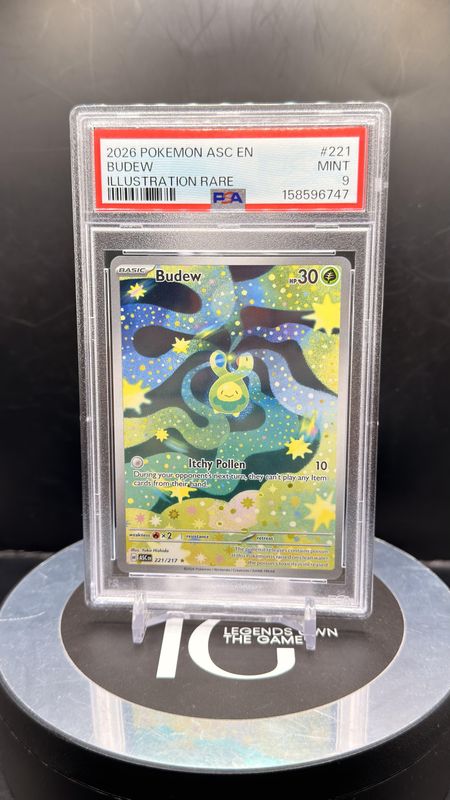 2026 Pokemon ASC En Budew Illustration Rare #221 PSA 9