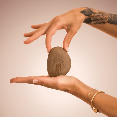 Rainforest Reset Shampoo Bar