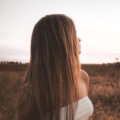 Rainforest Reset SET - hover image