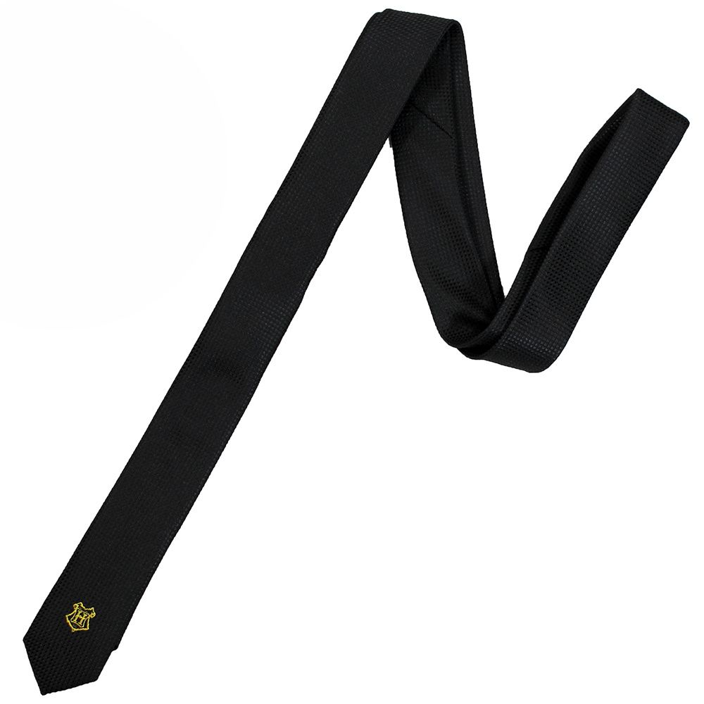 Harry Potter Hogwarts Deluxe Tie with Pin