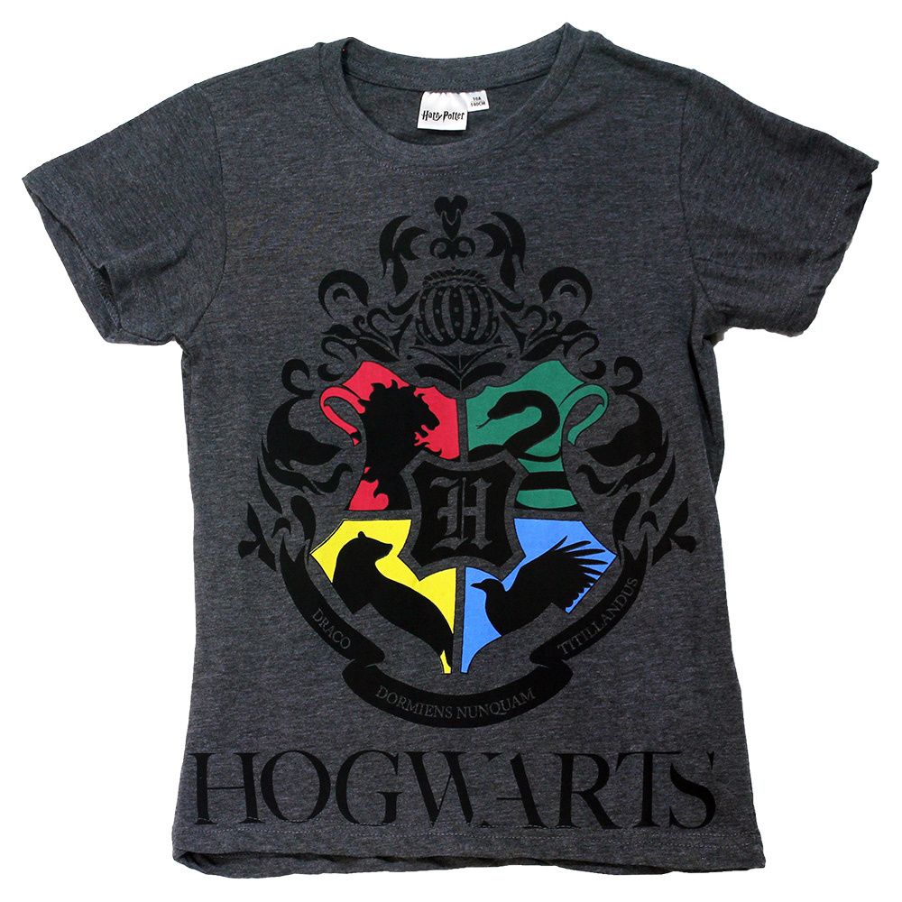 Harry Potter Hogwarts Kids T-Shirt Dark Grey