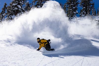 Snowboards