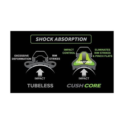 Tubeless Tire Insert (with valve)