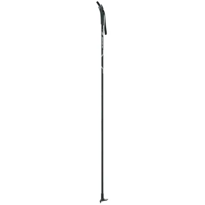 Focus Nordic Alu Pole