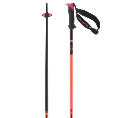 Poles Polar Pro S3