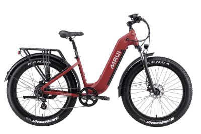 Maui Bronte fatbike