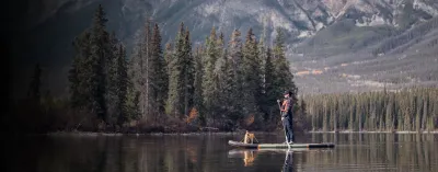 Paddleboards