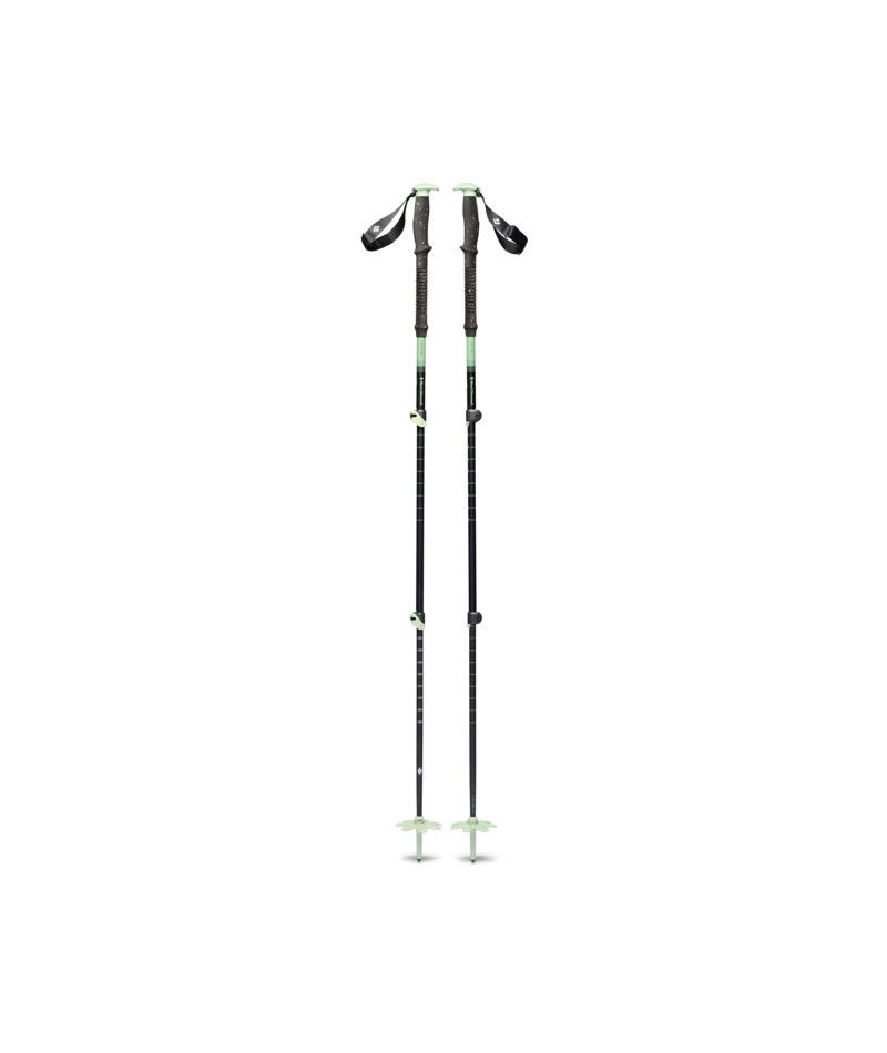 Expedition 3 Ski Poles