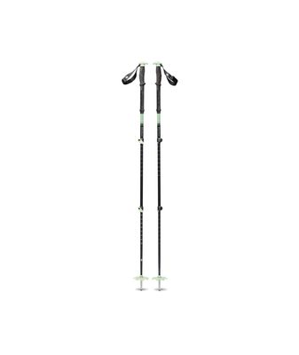 Expedition 3 Ski Poles