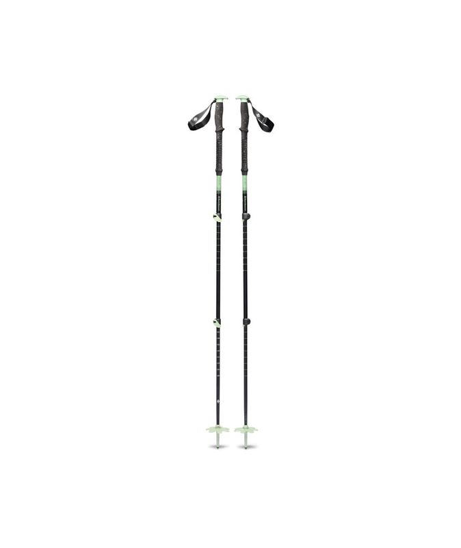 Expedition 3 Ski Poles