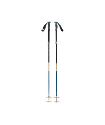 Traverse Compactor Ski Poles