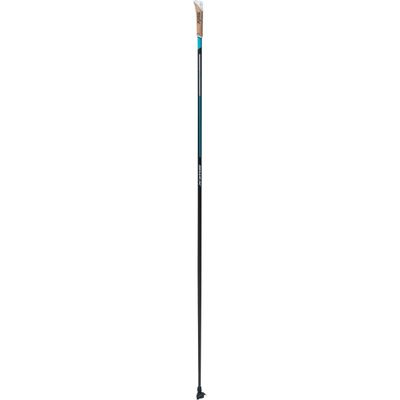 Quantum Q3 Poles