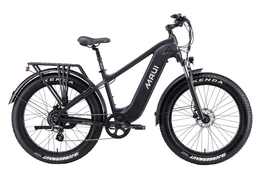 Electric Fat Bike Hera 500W