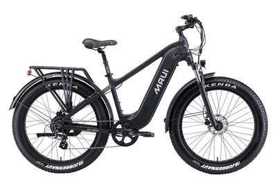 Electric Fat Bike Hera 500W